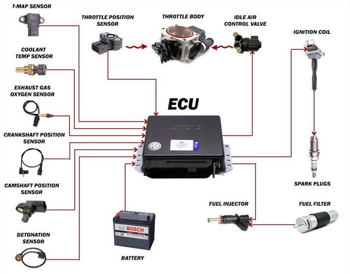 Mô tả hệ thống ECU và cảm biến