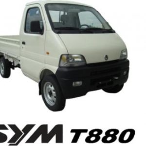 Xe SYM T880 SYM 880kg