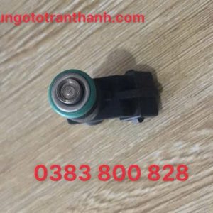 Kim phun xăng Dongben X30